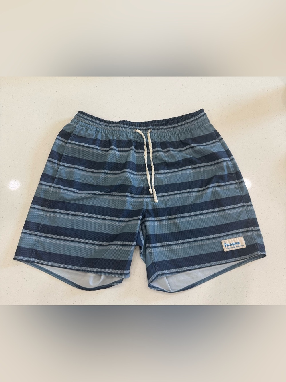Patagonia Men's Navy & Sky Blue Striped Board Shorts